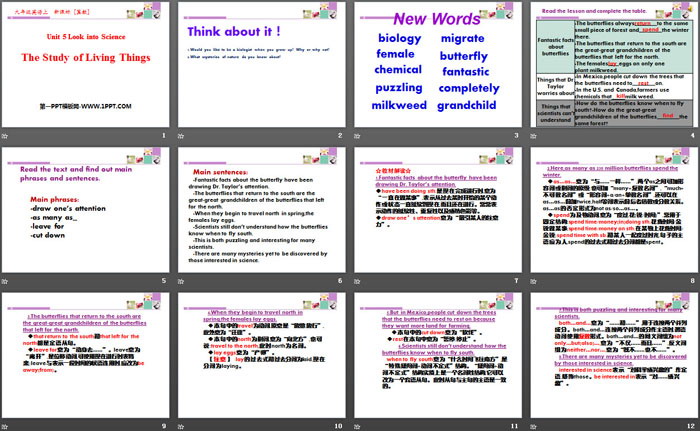 图片[2]-《The Study of Living Things》Look into Science! PPT下载-第一PPT