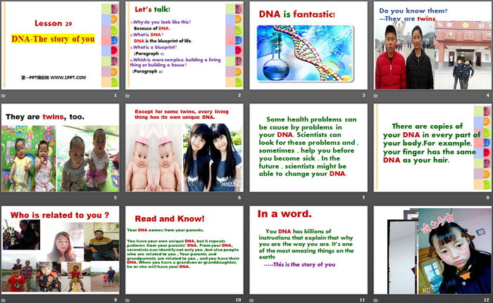 图片[2]-《DNA-The Story of You》Look into Science! PPT课件-第一PPT