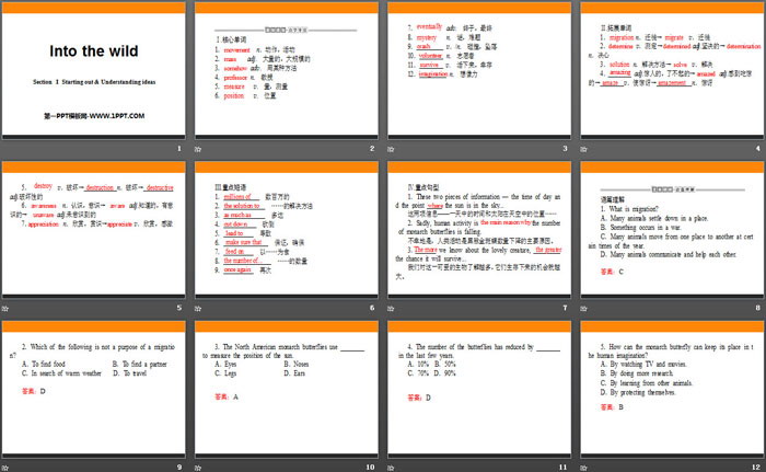 图片[2]-《Into the wild》Section ⅠPPT-第一PPT