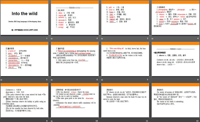 图片[2]-《Into the wild》Section ⅢPPT-第一PPT