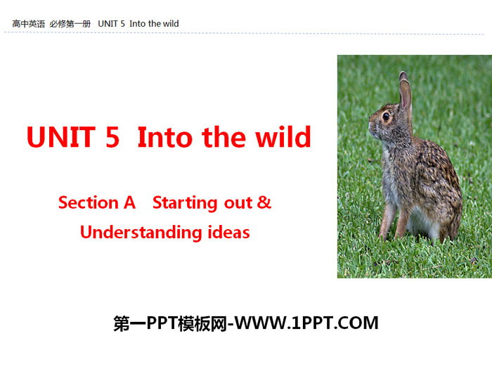 图片[1]-《Into the wild》Section A PPT-第一PPT