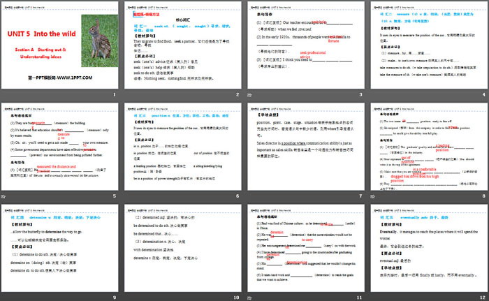 图片[2]-《Into the wild》Section A PPT-第一PPT