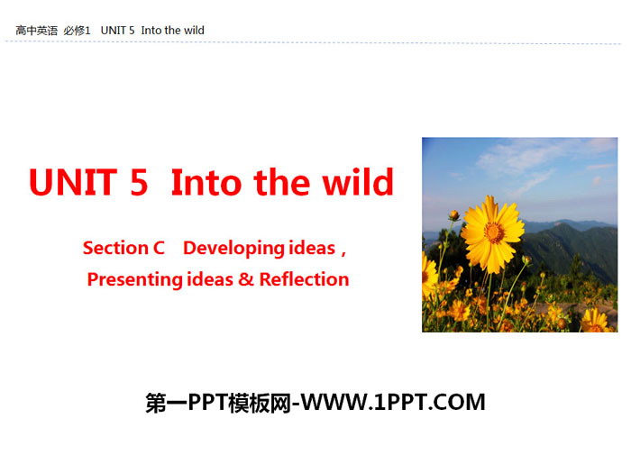 图片[1]-《Into the wild》Section C PPT-第一PPT