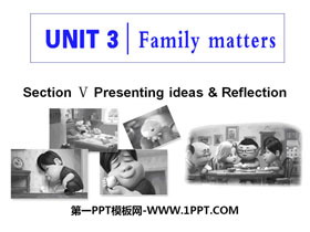 《Family matters》Section V PPT课件-第一PPT