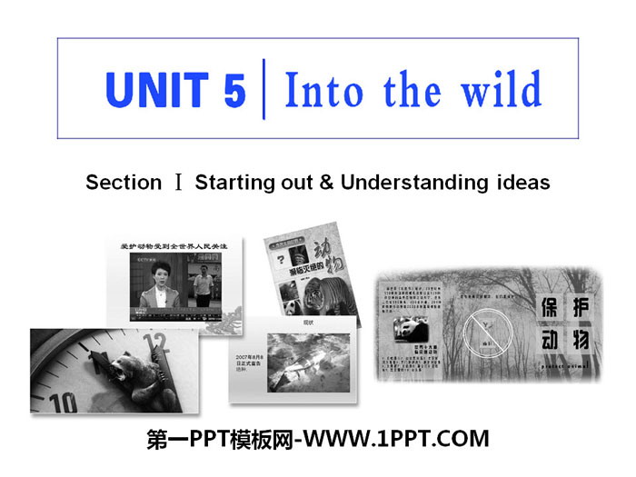 图片[1]-《Into the wild》Section ⅠPPT课件-第一PPT