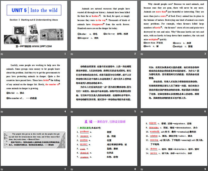 图片[2]-《Into the wild》Section ⅠPPT课件-第一PPT