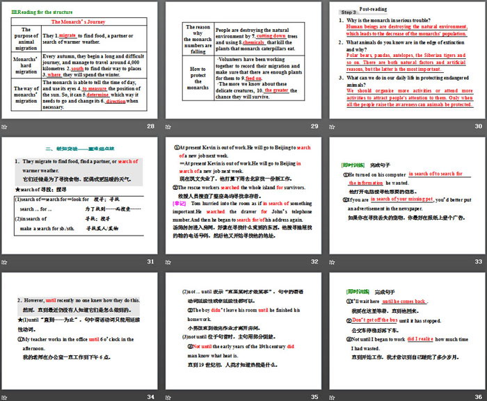 图片[5]-《Into the wild》Section ⅠPPT课件-第一PPT