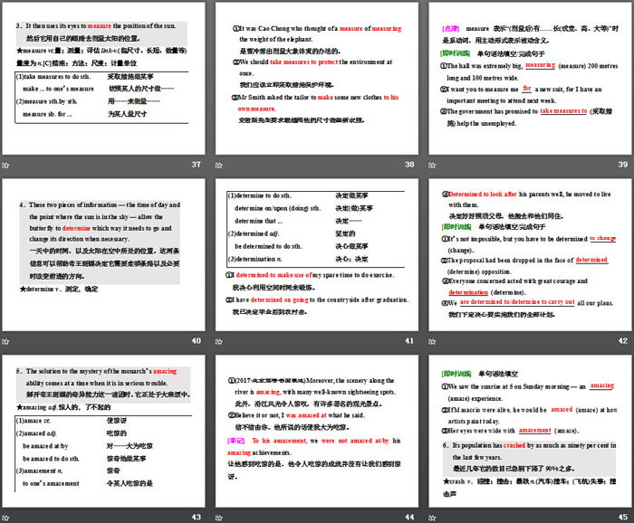 图片[6]-《Into the wild》Section ⅠPPT课件-第一PPT