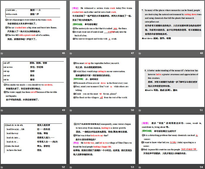 图片[7]-《Into the wild》Section ⅠPPT课件-第一PPT