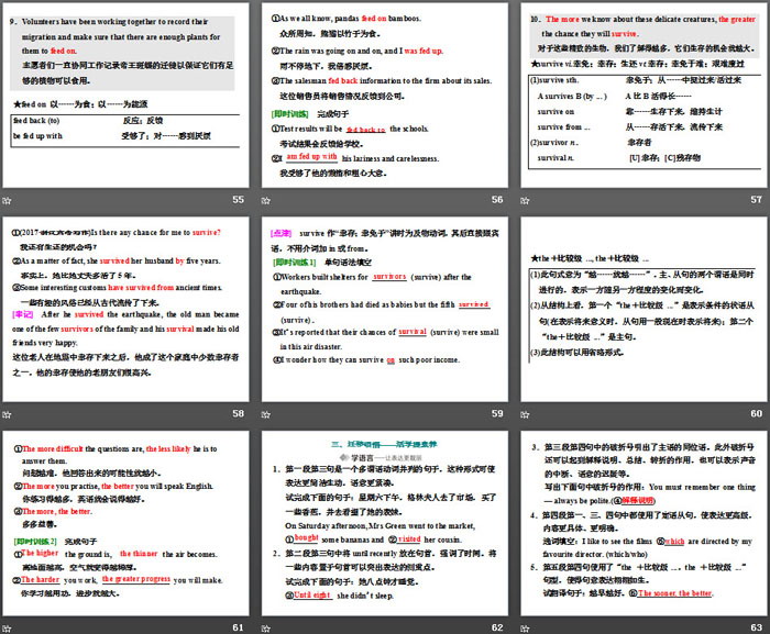 图片[8]-《Into the wild》Section ⅠPPT课件-第一PPT