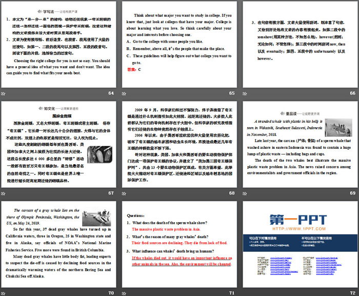 图片[9]-《Into the wild》Section ⅠPPT课件-第一PPT