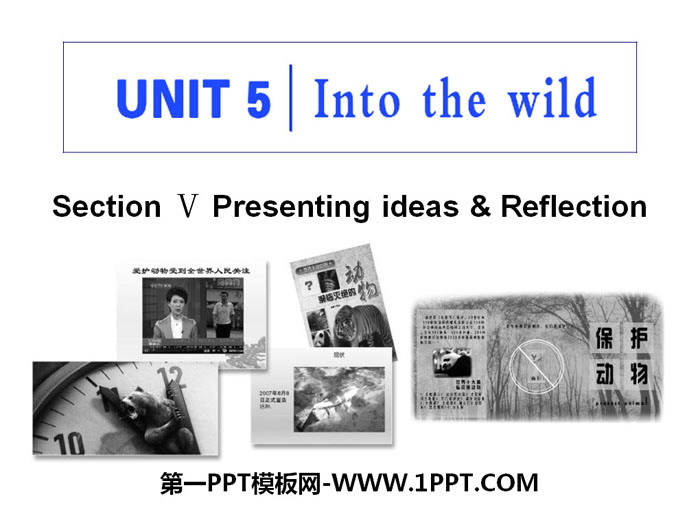 图片[1]-《Into the wild》Section V PPT课件-第一PPT