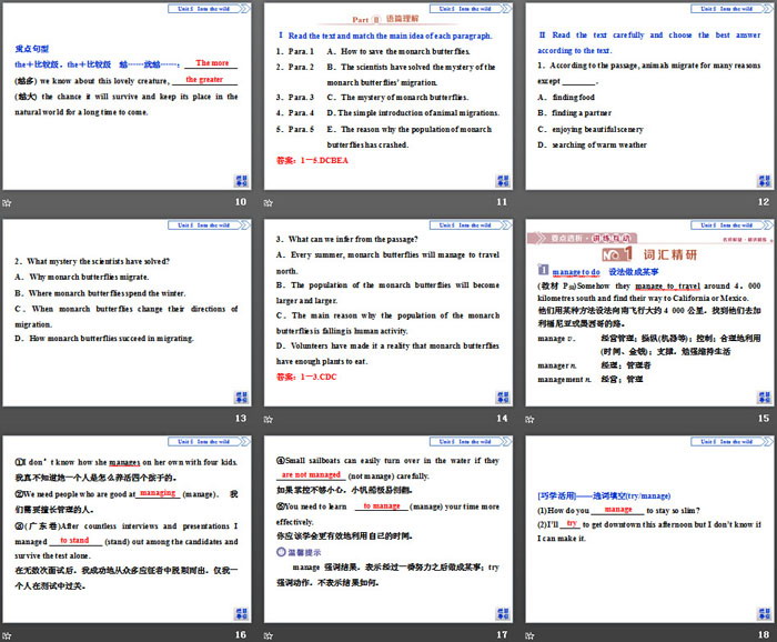 图片[3]-《Into the wild》Section ⅠPPT下载-第一PPT