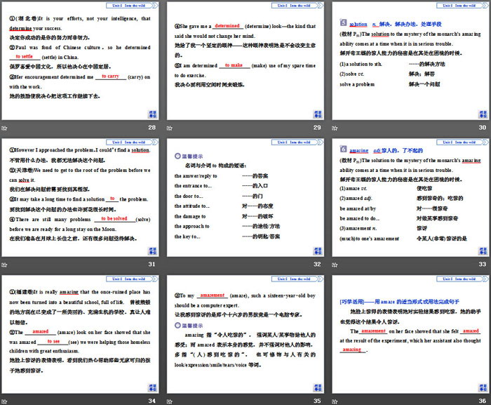 图片[5]-《Into the wild》Section ⅠPPT下载-第一PPT
