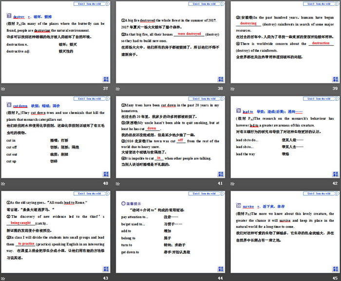 图片[6]-《Into the wild》Section ⅠPPT下载-第一PPT