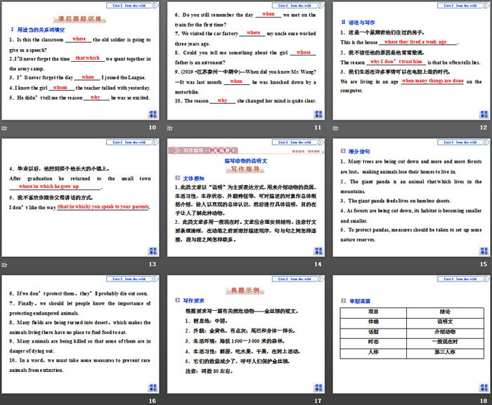 图片[3]-《Into the wild》Section ⅢPPT下载-第一PPT