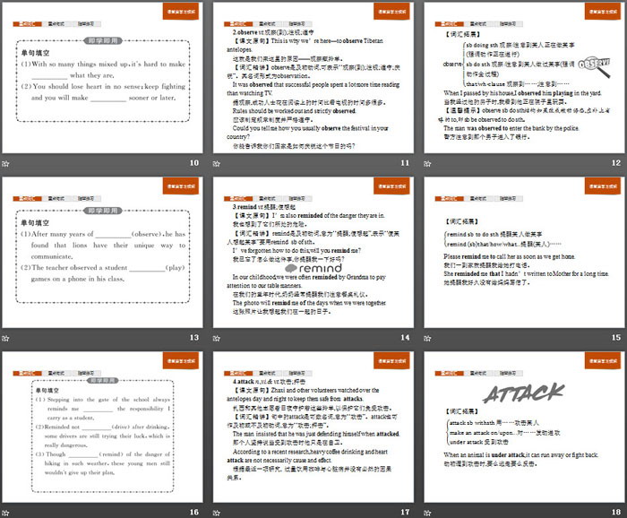 图片[3]-《Wildlife Protection》Section B PPT-第一PPT