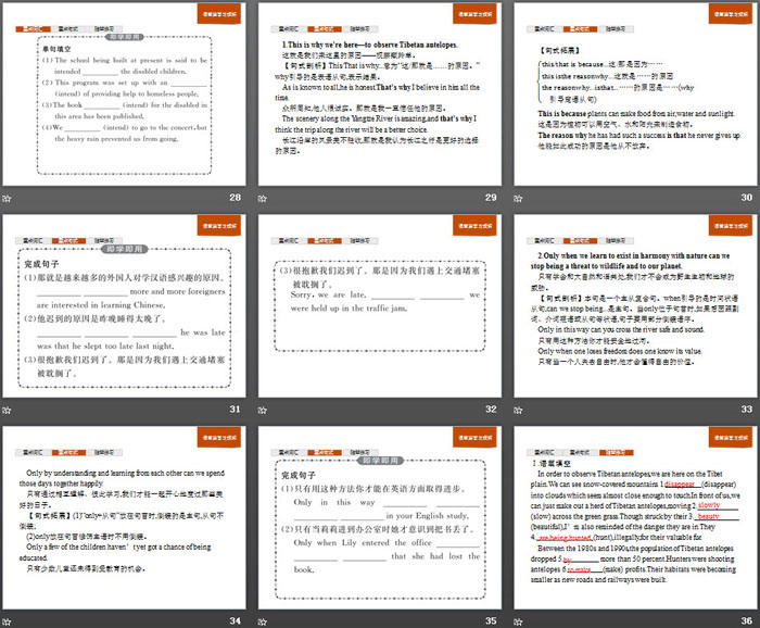 图片[5]-《Wildlife Protection》Section B PPT-第一PPT