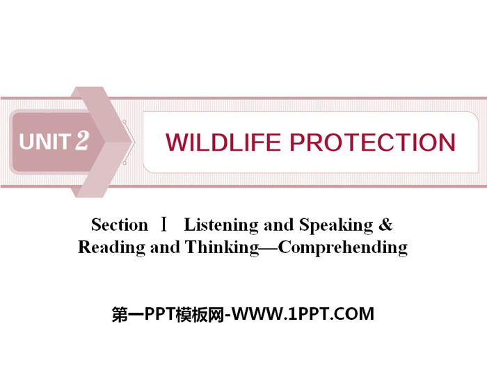 图片[1]-《Wildlife Protection》SectionⅠ PPT-第一PPT
