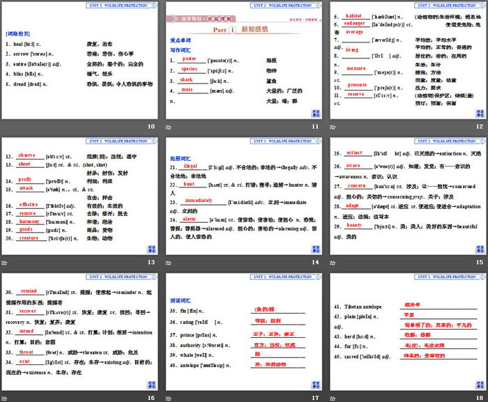 图片[3]-《Wildlife Protection》SectionⅠ PPT-第一PPT