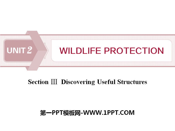 图片[1]-《Wildlife Protection》SectionⅢ PPT-第一PPT