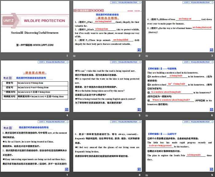 图片[2]-《Wildlife Protection》SectionⅢ PPT-第一PPT