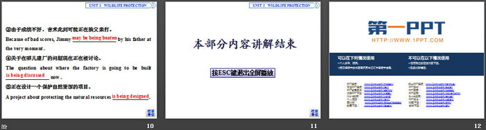 图片[3]-《Wildlife Protection》SectionⅢ PPT-第一PPT