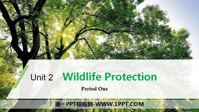图片[1]-《Wildlife Protection》Period One PPT-第一PPT