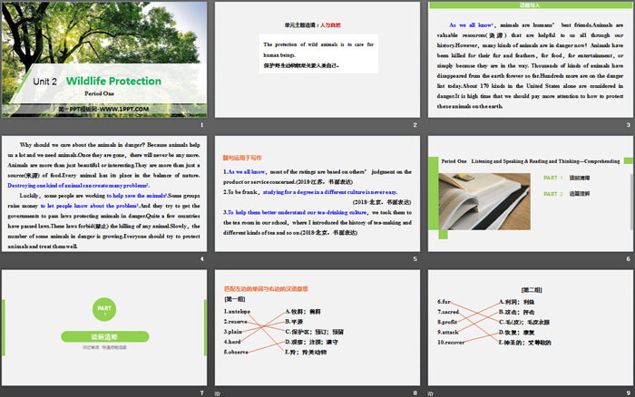图片[2]-《Wildlife Protection》Period One PPT-第一PPT