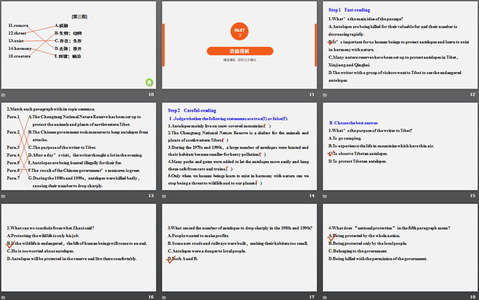 图片[3]-《Wildlife Protection》Period One PPT-第一PPT