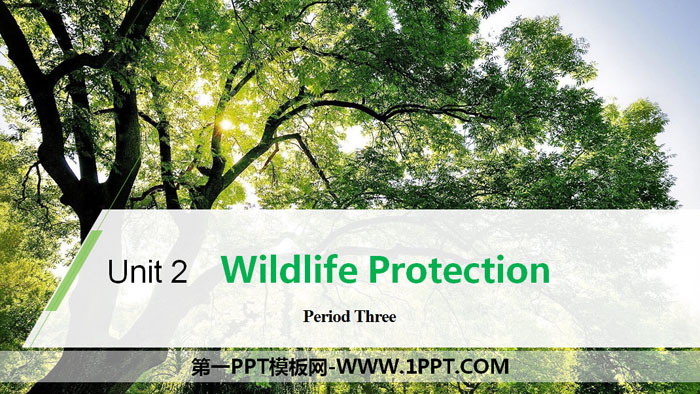 图片[1]-《Wildlife Protection》Period Three PPT-第一PPT