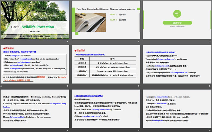 图片[2]-《Wildlife Protection》Period Three PPT-第一PPT