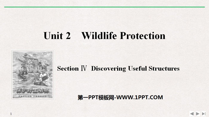 图片[1]-《Wildlife Protection》SectionⅣ PPT课件-第一PPT