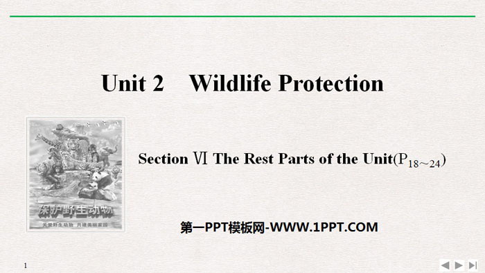 图片[1]-《Wildlife Protection》SectionⅥ PPT课件-第一PPT