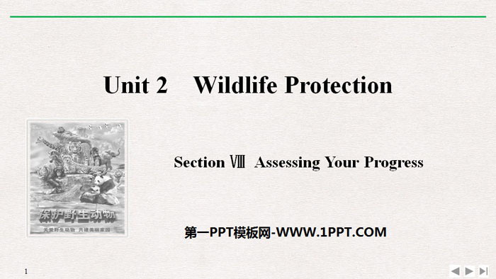 图片[1]-《Wildlife Protection》SectionⅧ PPT课件-第一PPT