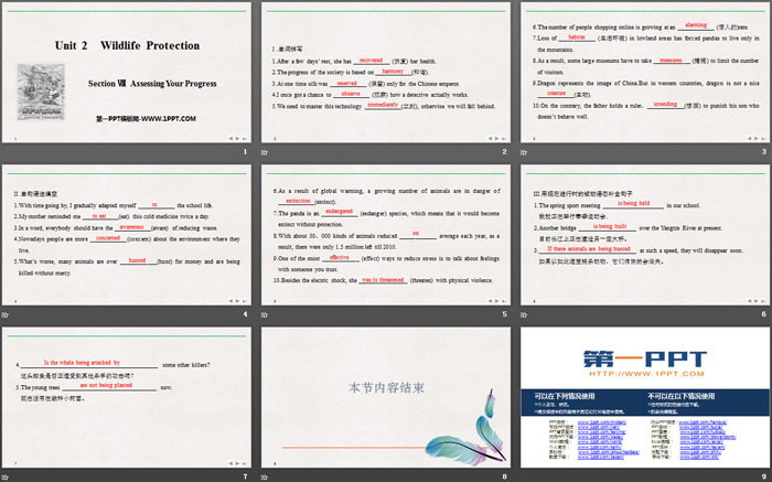图片[2]-《Wildlife Protection》SectionⅧ PPT课件-第一PPT