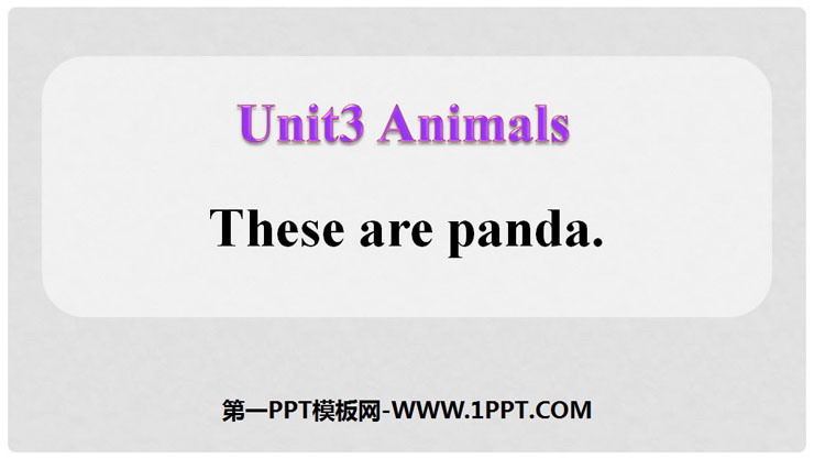 图片[1]-《These are pandas》Animals PPT课件-第一PPT