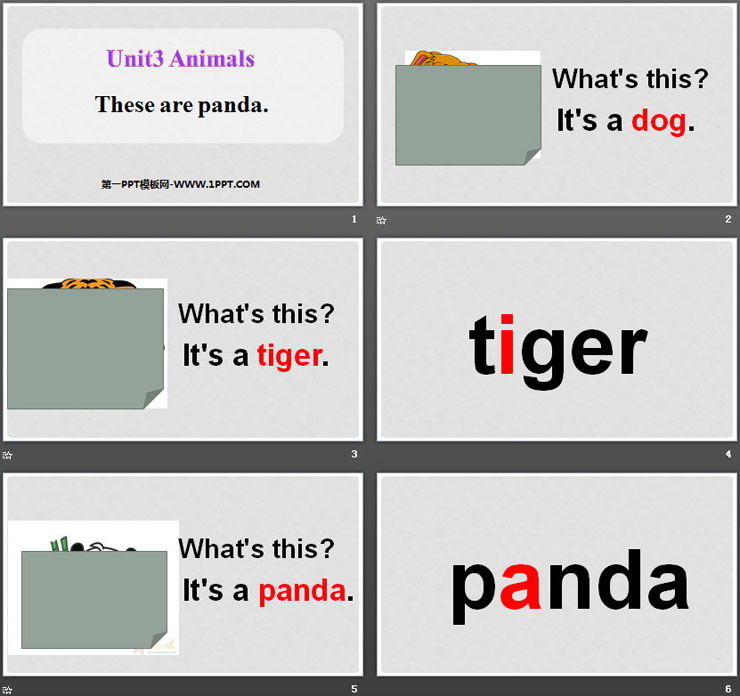 图片[2]-《These are pandas》Animals PPT课件-第一PPT