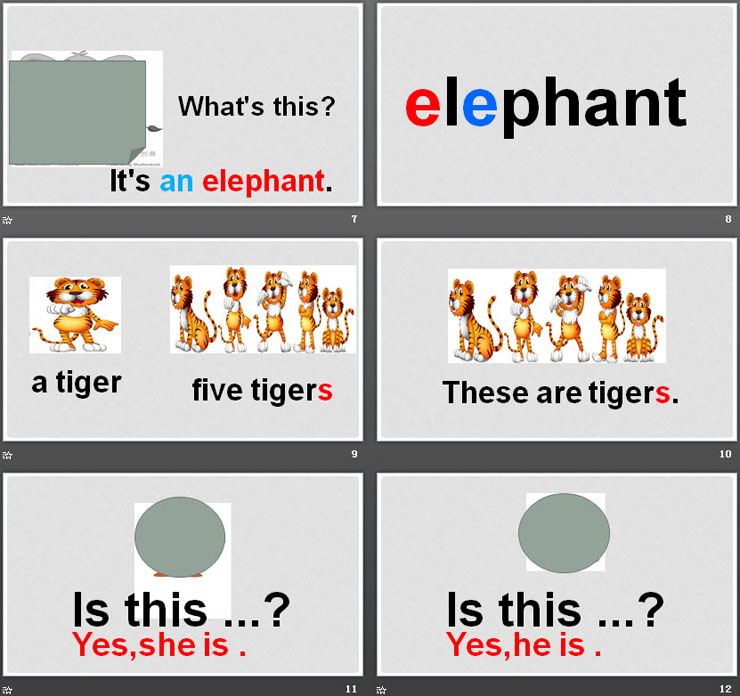 图片[3]-《These are pandas》Animals PPT课件-第一PPT