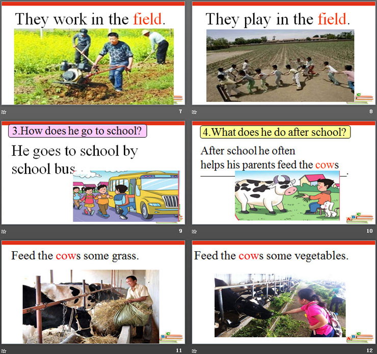 图片[3]-《He goes to school by school bus》Country Life PPT-第一PPT