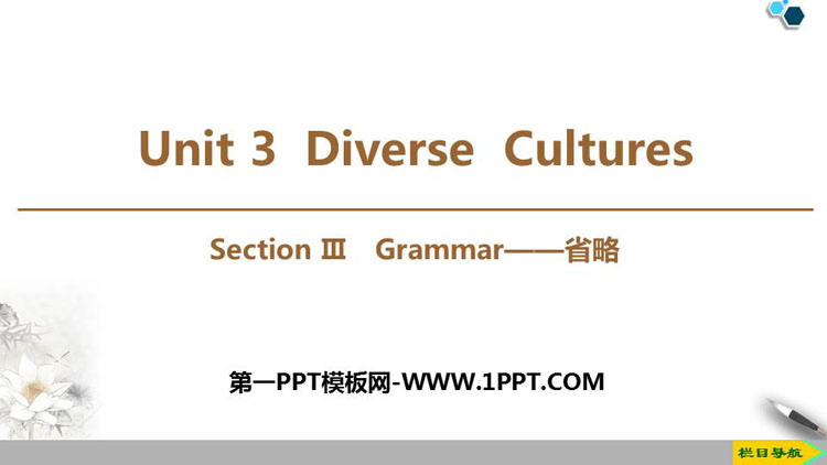 图片[1]-《Diverse Cultures》SectionⅢ PPT课件下载-第一PPT