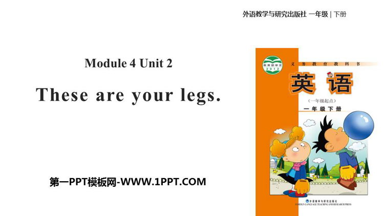图片[1]-《These are your legs》PPT下载-第一PPT
