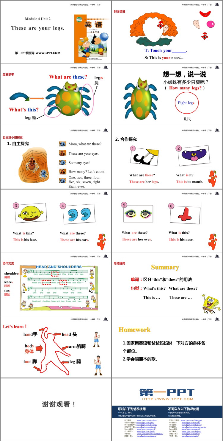 图片[2]-《These are your legs》PPT下载-第一PPT