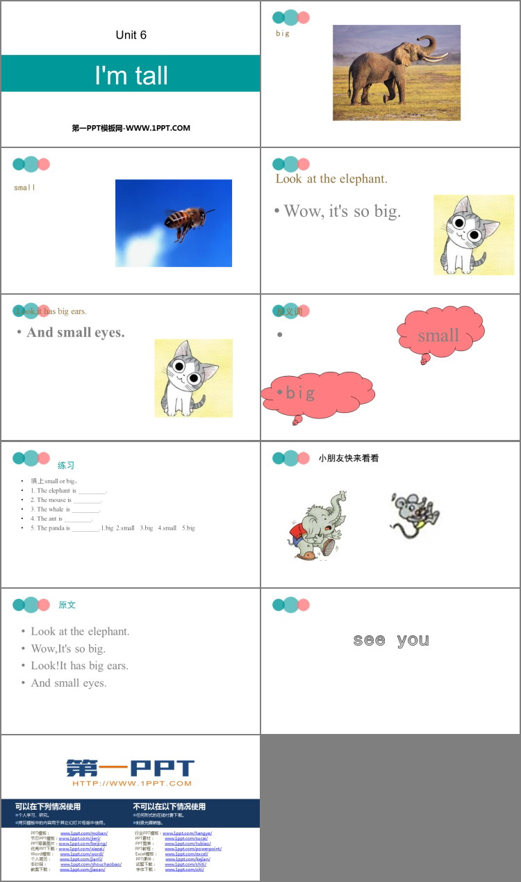 图片[2]-Im_tall-第一PPT