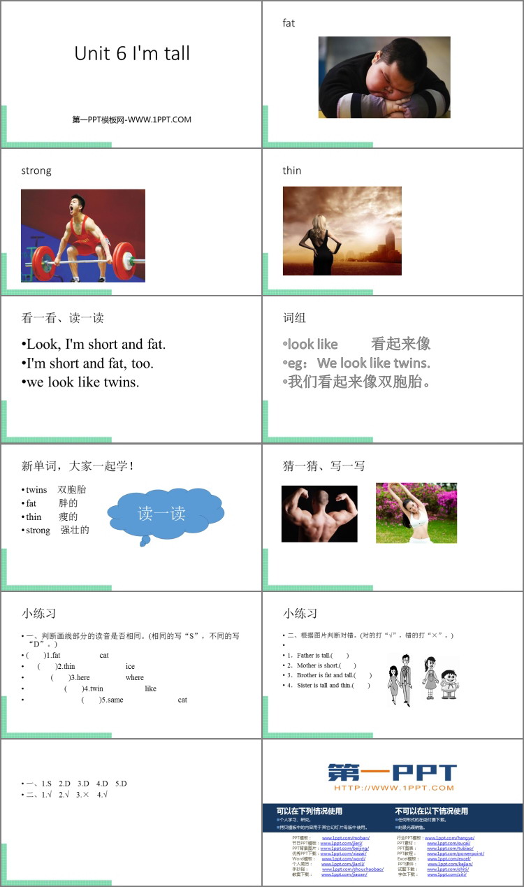 图片[2]-《I’m tall》PPT精品课件-第一PPT