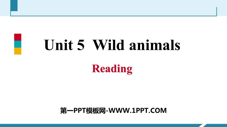 图片[1]-《Wild animals》Reading PPT习题课件-第一PPT