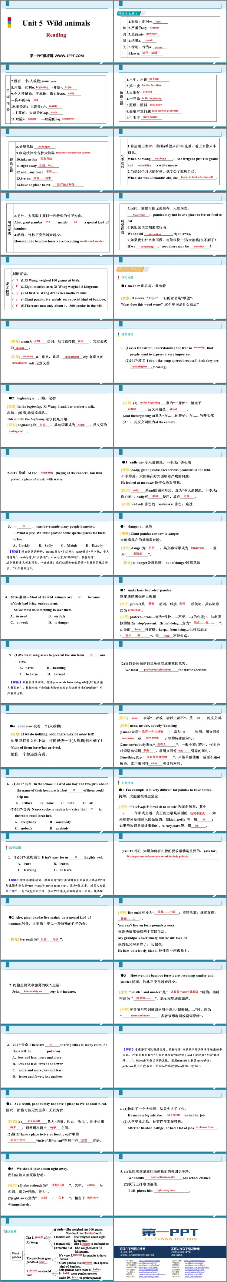 图片[2]-《Wild animals》Reading PPT习题课件-第一PPT
