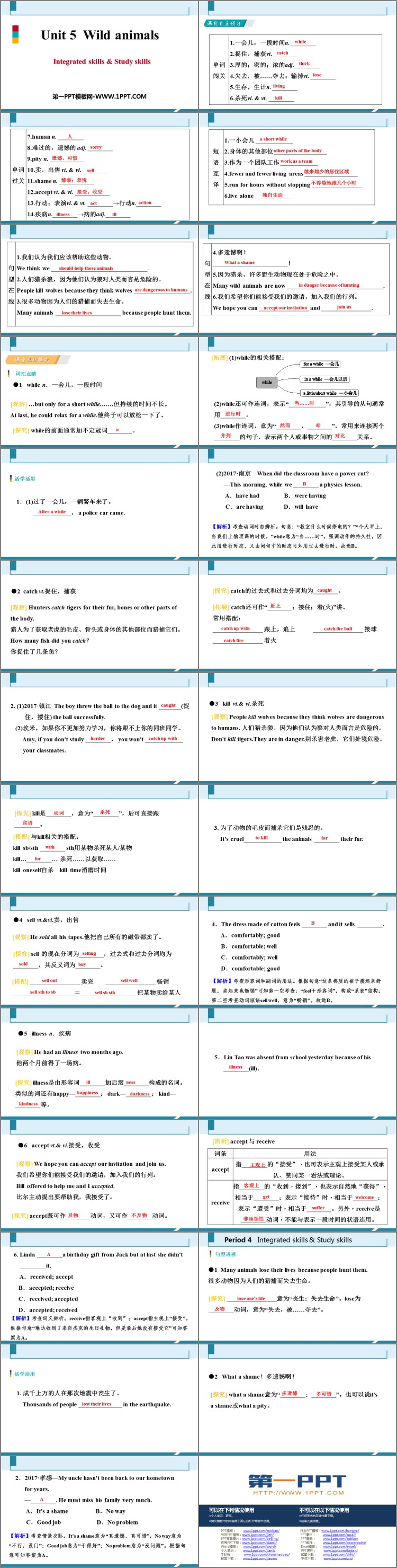 图片[2]-《Wild animals》Integrated skills-第一PPT