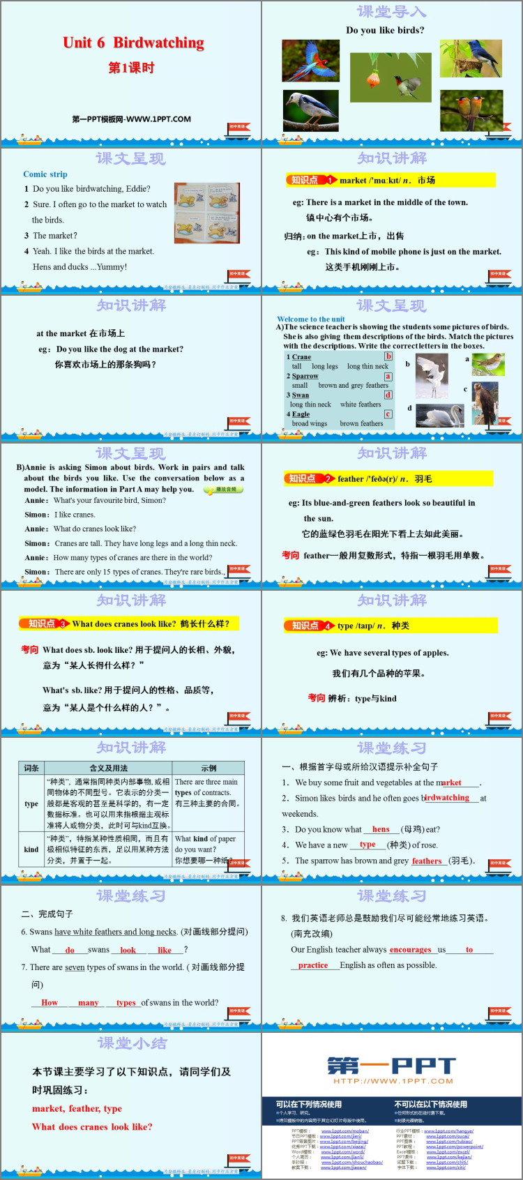 图片[2]-《Birdwatching》PPT课件(第1课时)-第一PPT