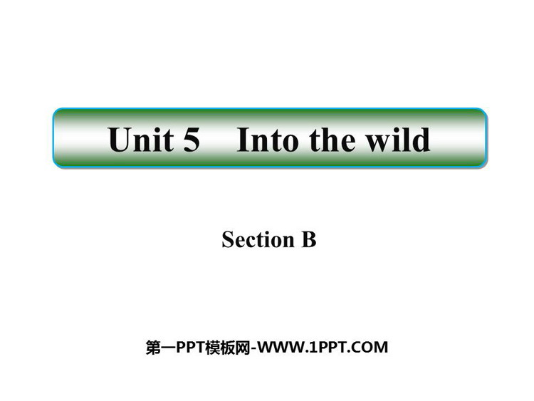 图片[1]-《Into the wild》SectionB PPT课件-第一PPT